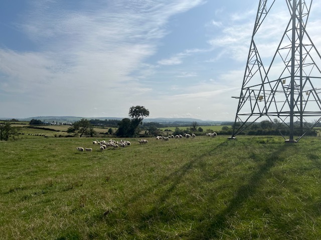 Kilmarnock